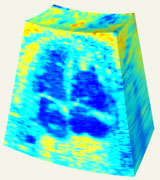 Movie extracted from 4D voxel data